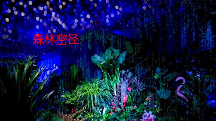 视神经萎缩，是阳不足，又是哪来的火？